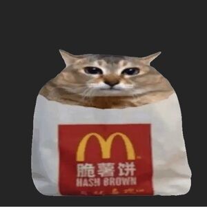 Meet your Posher, Leia